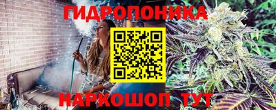 круглые Донецк